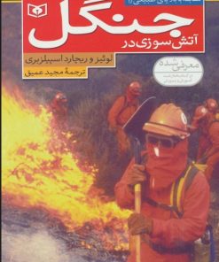 کتاب آتش سوزی در جنگل | انتشارات قدیانی