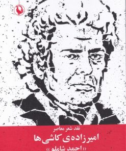 کتاب امیرزاده ی کاشی ها | انتشارات مروارید