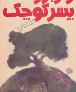 کتاب راز بزرگ پسر کوچک | انتشارات پیدایش