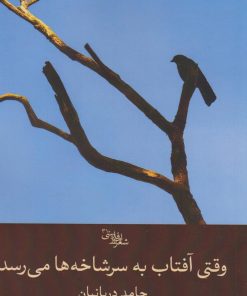 کتاب وقتی آفتاب به سرشاخه‌ها می‌رسد | انتشارات سیب سرخ