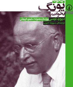 کتاب چگونه یونگ بخوانیم | انتشارات نشر نی