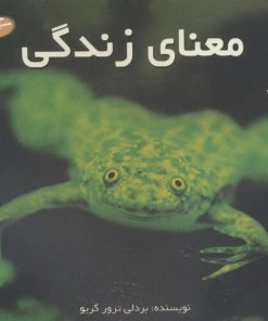 کتاب معنای زندگی | انتشارات سایه گستر