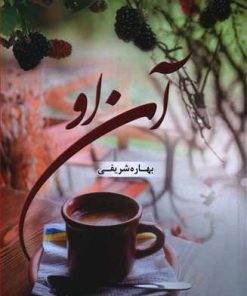 کتاب آن او | انتشارات شقایق