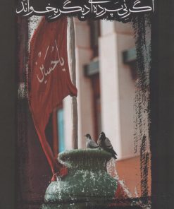 کتاب اگر نی پرده ای دیگر بخواند | انتشارات کتابستان معرفت