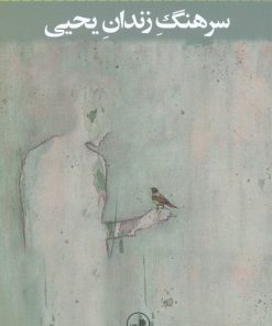 کتاب سرهنگ زندان یحیی | انتشارات نشر ثالث