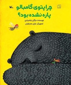 کتاب چرا پتوی گامبالو پاره نشده بود | انتشارات کانون پرورش فکری کودکان و نوجوانان