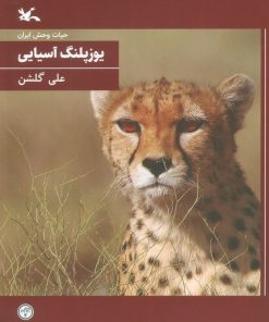 کتاب یوزپلنگ آسیایی (وزیری) | انتشارات کانون پرورش فکری کودکان و نوجوانان