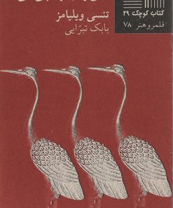 کتاب نمی دونم فردا چی میشه | انتشارات نیلا