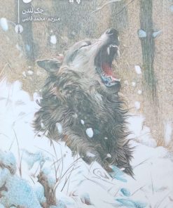 کتاب سپید دندان | انتشارات علمی و فرهنگی