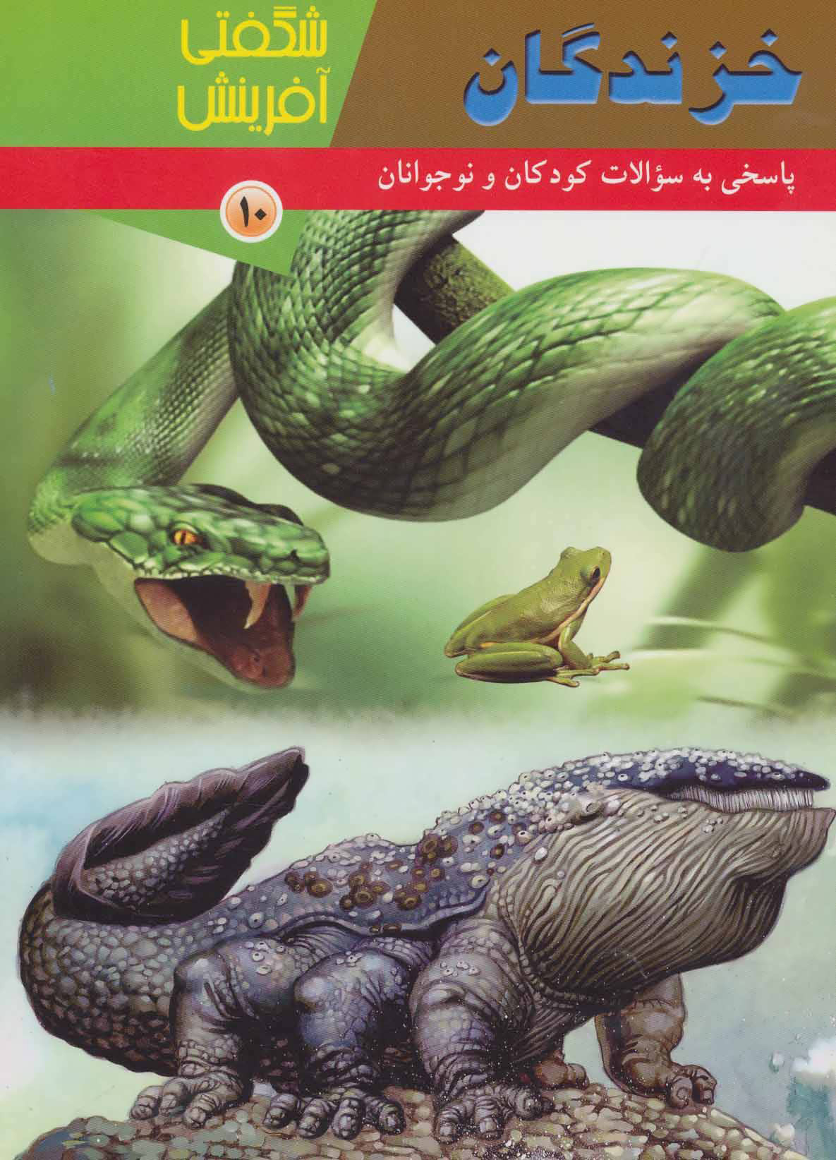 کتاب خزندگان | انتشارات کانون پرورش فکری کودکان و نوجوانان