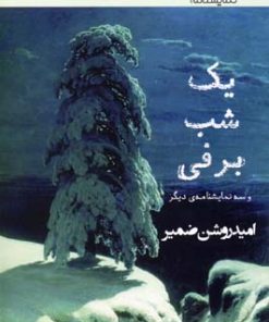 کتاب یک شب برفی | انتشارات افراز