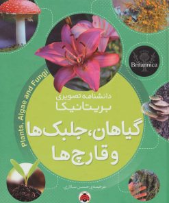 کتاب گیاهان، جلبک ها و قارچ ها | انتشارات شهر قلم