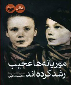 کتاب موریانه ها عجیب رشد کرده اند | انتشارات کتاب پرگار