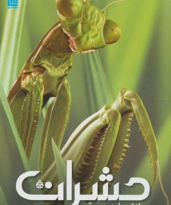 کتاب دانشنامه مصور حشرات | انتشارات سایان