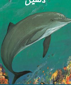 کتاب دلفین | انتشارات بروج