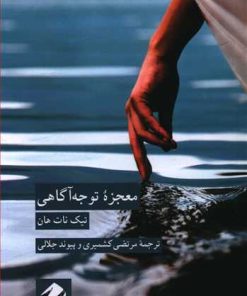 کتاب معجزه توجه آگاهی | انتشارات کرگدن