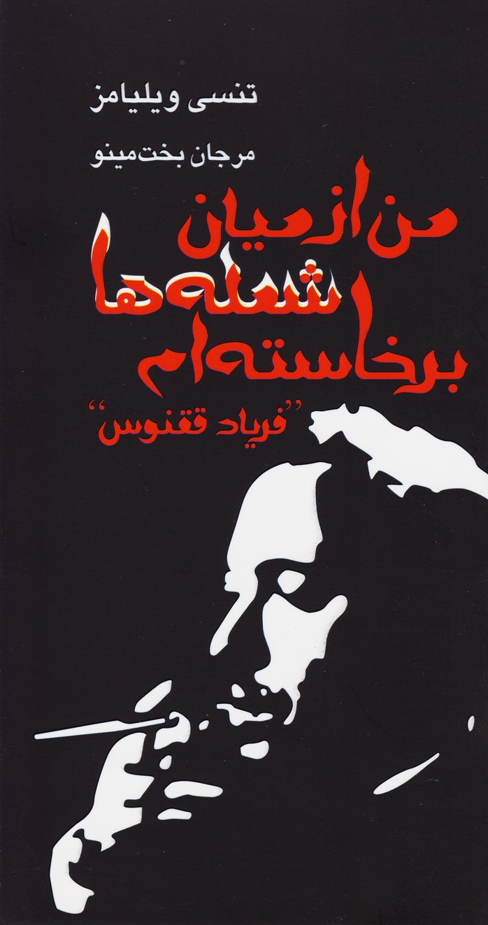 کتاب من از میان شعله ها برخاسته ام | انتشارات مینو