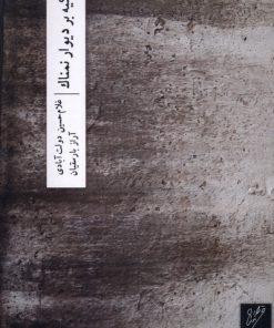 کتاب تکیه بر دیوار نمناک | انتشارات نشر وزان