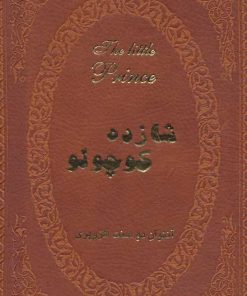 کتاب شازده کوچولو | انتشارات پارمیس