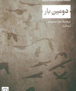 کتاب دومین بار | انتشارات نشر نی