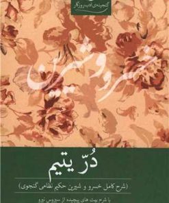 کتاب در یتیم | انتشارات روزگار