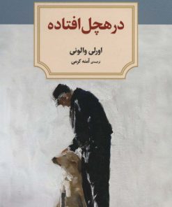 کتاب در هچل افتاده | انتشارات دیدآور