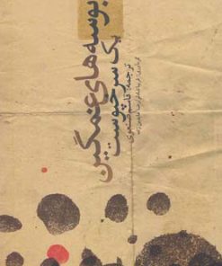 کتاب بوسه های غمگین یک سرخپوست | انتشارات آرادمان