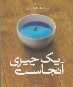 کتاب یک چیزی آنجاست | انتشارات به نگار