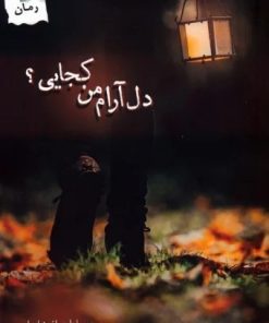 کتاب دل آرام من کجایی؟ | انتشارات پرسمان