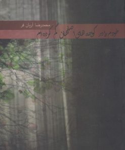 کتاب خودم را در کوچه های اصفهان گم کرده ام | انتشارات پرسش