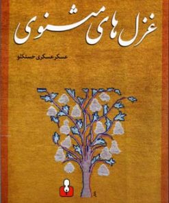 کتاب غزل های مثنوی | انتشارات کتاب آمه