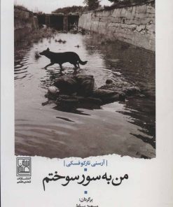 کتاب من به سور سوختم | انتشارات تمدن علمی