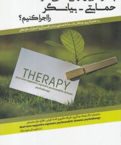 کتاب چگونه روان درمانی تحلیلی کوتاه مدت حمایتی - بیانگر را اجرا کنیم؟ | انتشارات پرنده