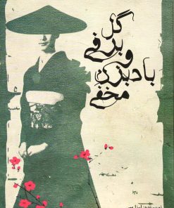 کتاب گل برفی و بادبزن مخفی | انتشارات در دانش بهمن