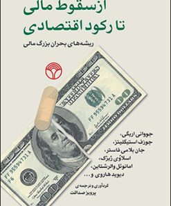 کتاب از سقوط مالی تا رکود اقتصادی | انتشارات پژواک