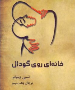 کتاب خانه ای روی گودال | انتشارات مینو