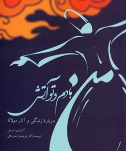 کتاب من بادم و تو آتش | انتشارات توس