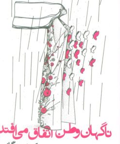 کتاب ناگهان وطن اتفاق می‌افتد | انتشارات روزنه