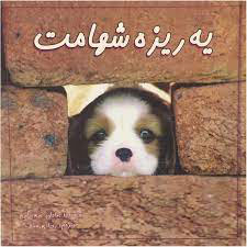 کتاب یه ریزه شهامت | انتشارات مهتاب