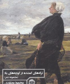 کتاب ترانه های گمشده درکوچه های باد | انتشارات آرادمان