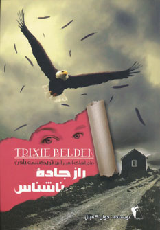 کتاب راز جاده ناشناس | انتشارات چکاوک