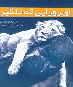 کتاب برای روزایی که دلگیری | انتشارات کتاب آمه