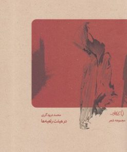 کتاب در هیئت راهبه ها | انتشارات کتاب فانوس