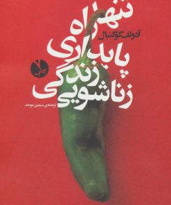 کتاب تنها راه پایداری زندگی زناشویی | انتشارات بنیاد فرهنگ زندگی