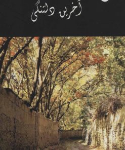 کتاب آخرین دلتنگی | انتشارات 360 درجه