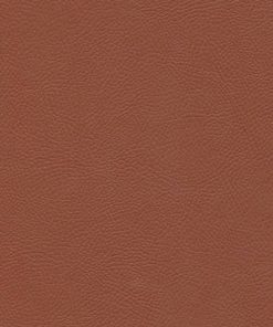 کتاب دزیره | انتشارات پارمیس