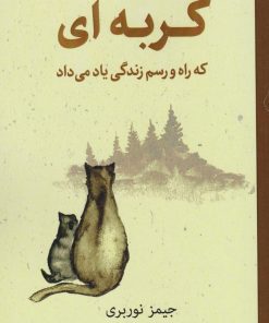 کتاب گربه‌ای که راه‌ و رسم زندگی یاد می‌داد | انتشارات نارنگی