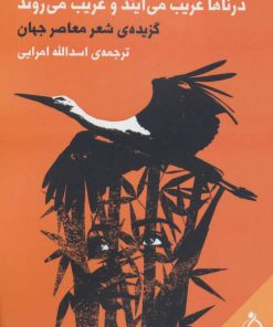 کتاب درناها غریب می آیند و غریب می روند | انتشارات نفیر