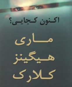 کتاب اکنون کجایی؟ | انتشارات در دانش بهمن