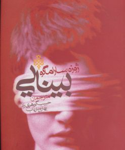 کتاب بینایی | انتشارات جمهوری